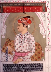 インド、ラジャスタン州、ミニチュア絵画王