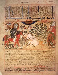 ヘビに刺された男、解毒剤の「Kitab al-Diryaq」ブックからのイラスト、Pseudo-Gallen (vellum) 作