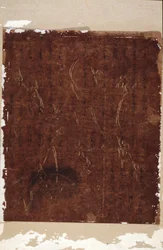 Sapluuna