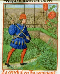 Harl 4425 f.184v 恋人は薔薇に手を伸ばす、「Roman de la Rose」、ブルージュ、c.1490-1500 (ベラム)