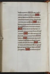 キングス9世、f.233v、時祷書、サラムの使用（「アン・ブーリンの時祷書」）（ヴェラム）