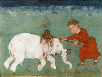 イスラム美術。ロスタム（またはルスタム）神話の英雄でザールの息子が白象を殺す。フェルダウシ（Ferdawsi, or Firdousi, ca. 940-around）の叙事詩「シャーナメ」（Shah Nama, Shahnama）（王の書）の写本に描かれたペルシャの細密画。