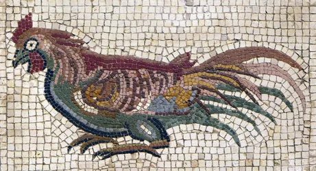 チュニジアのローマ時代の別荘の地面にあった色とりどりの雄鶏（モザイク画）
