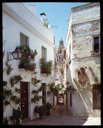 View of the Minaret of the Great Mosquee of the Omayyades (Mezquita), now cathedrale, from Calle de los flores", Cordoba Spain" (View of Bell tower or minaret of MosqueðCathedral (Great Mosque) of Cordoba from street "calle de los flores")