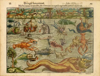 海と陸のモンスター(海と陸の怪物たち...)