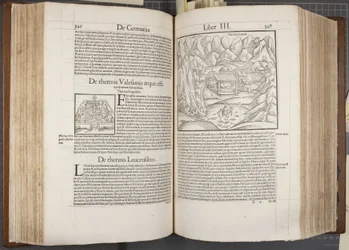 Cosmographia、Fol 346-347、1544