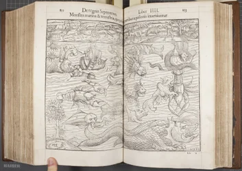 Cosmographia、Fol 852-853、1544
