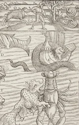 Cosmographia、Fol 853、1544