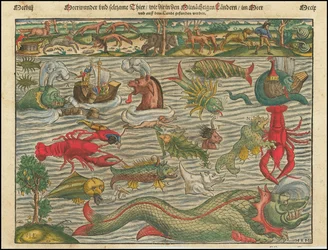 近隣諸国の海と陸で見られる海の不思議と奇妙な動物たち