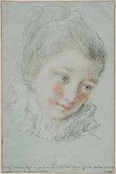若い女性の頭部