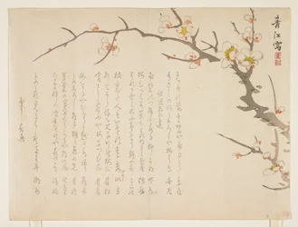 1837年1月、開花梅（色木版画）
