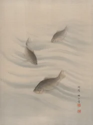 魚の水泳、カリフォルニア州。 1890-92。