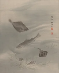 魚、カリフォルニア州。 1890-92。