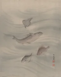 魚、カリフォルニア州。 1890-92。
