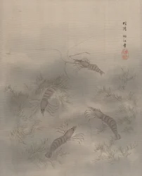 エビAB、Ka。 1890–92。
