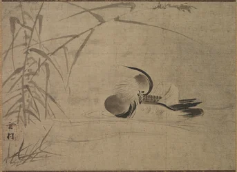 マンダリンダック、1500年代。