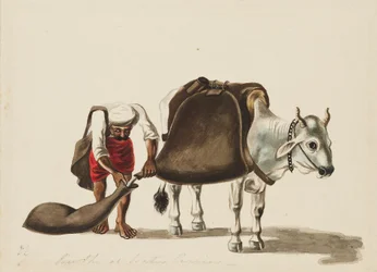 ウォーターキャリア、c1810