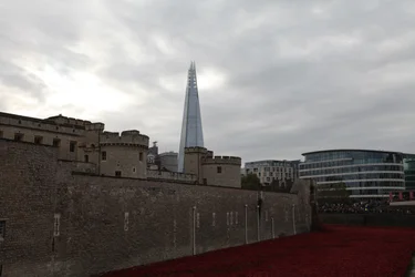 Blood Swept Lands and Seas of Red、ロンドン塔、2014年。