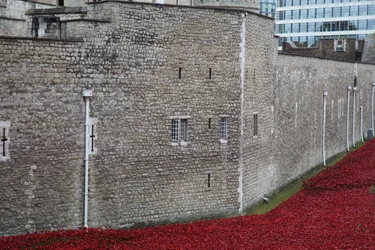 Blood Swept Lands and Seas of Red、ロンドン塔、2014年。