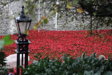Blood Swept Lands and Seas of Red、ロンドン塔、2014年。
