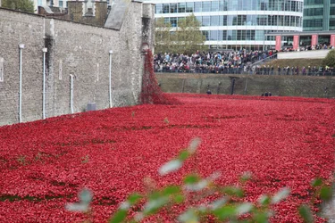 Blood Swept Lands and Seas of Red、ロンドン塔、2014年。