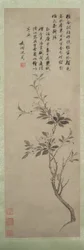 開花カニリンゴ