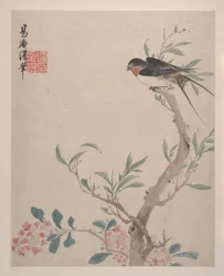 風景、花と鳥、1639年（8枚から成るアルバム、紙にインクと彩色）