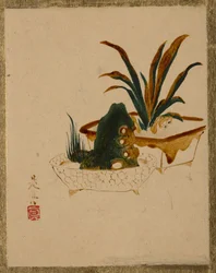 ハルディニエールの花。