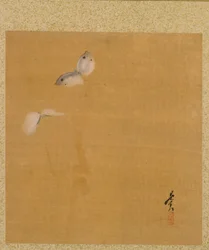 Album of Seasonal Themes：Maple Leaves and Feather、1847からの葉。