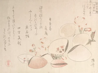 桜と貝殻, 19世紀., 19世紀.
