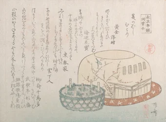 昆虫採集と鉢植えのハーブ、19 世紀., 19 世紀.