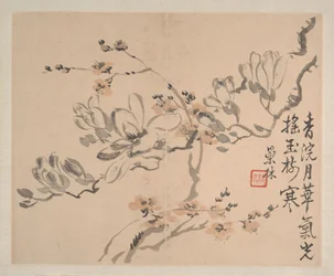 風景と花、1745年（8枚から成るアルバム、紙にインクと彩色）