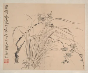 風景と花、1745年（8枚から成るアルバム、紙にインクと彩色）