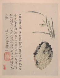 荒野の色彩、1700年頃（12枚の絵画から成るアルバム；紙にインクと彩色）