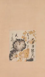 大中臣 慶喜 詩 葵 下絵 17 世紀 初頭