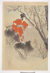 「十二月の美女」シリーズより 三咲桜
