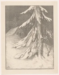 雪景色のトウヒ 冬（原題）