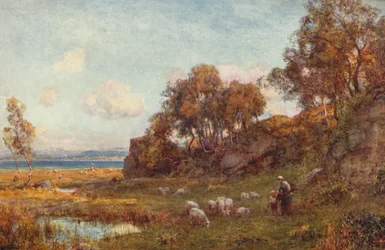 保護された牧草地、c1900