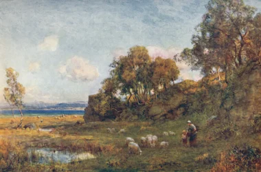 保護された牧草地、c1900。