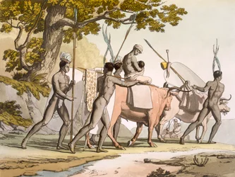 移動中の岬のコラ・ホッテントット、Vol II、c1820-40。