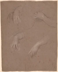 Drawings of Hands   1447162   ja       japanese Successfully Translated  Original: Portrait of Young Man, by Giovanni Battista Moroni (ca 1525-1578), oil on canvas, 44,4x56,9 cm Translat: Portrait of Young Man, by Giovanni Battista Moroni (ca 1525-1578), o