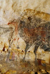 ラスコー、馬の頭の彫刻画の詳細。