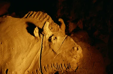 およそ14,000年前に粘土で作られたバイソンの詳細（2022年、トゥック・ダドゥベール洞窟出土）。
