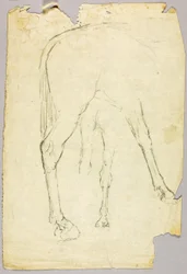 馬