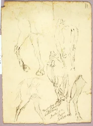 馬