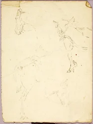 馬