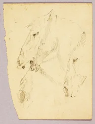 馬の頭