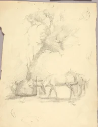 馬と木