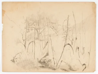 風景