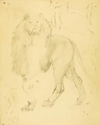ライオン